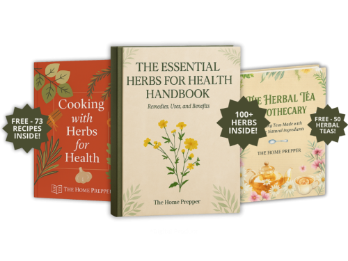 Herbs For Health Remedies